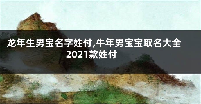 龙年生男宝名字姓付,牛年男宝宝取名大全2021款姓付