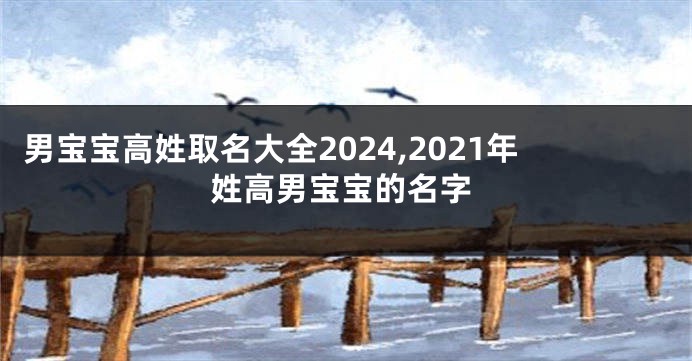 男宝宝高姓取名大全2024,2021年姓高男宝宝的名字