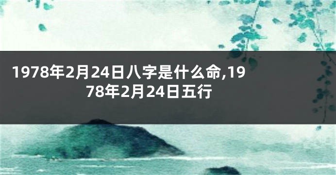 1978年2月24日八字是什么命,1978年2月24日五行