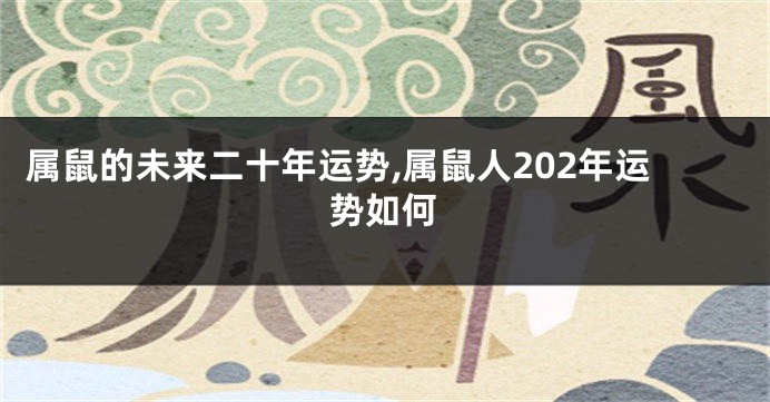 属鼠的未来二十年运势,属鼠人202年运势如何