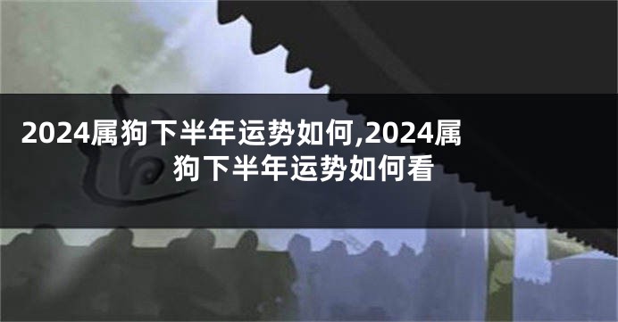 2024属狗下半年运势如何,2024属狗下半年运势如何看