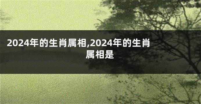 2024年的生肖属相,2024年的生肖属相是