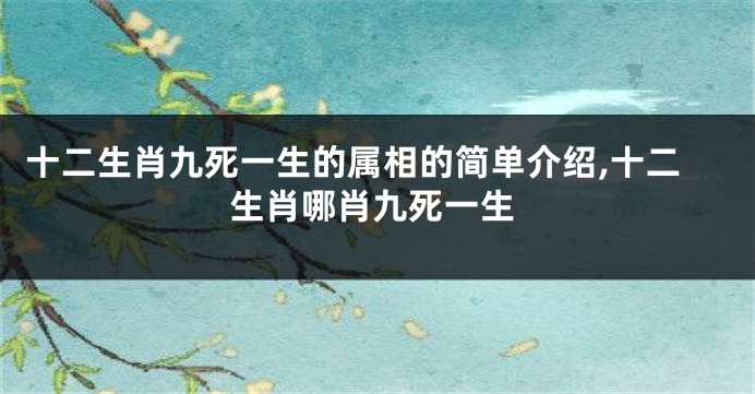 十二生肖九死一生的属相的简单介绍,十二生肖哪肖九死一生