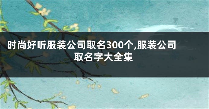 时尚好听服装公司取名300个,服装公司取名字大全集