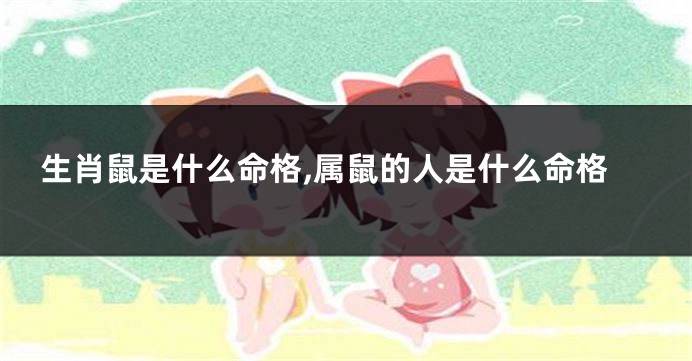 生肖鼠是什么命格,属鼠的人是什么命格