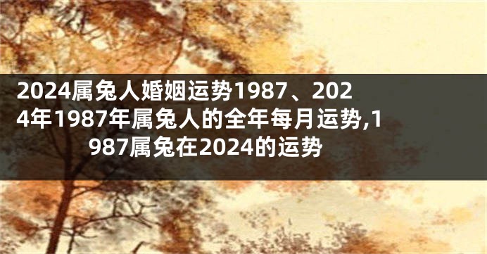 2024属兔人婚姻运势1987、2024年1987年属兔人的全年每月运势,1987属兔在2024的运势