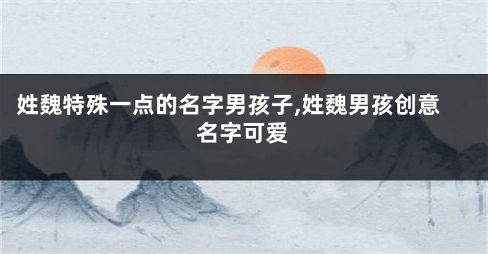 姓魏特殊一点的名字男孩子,姓魏男孩创意名字可爱