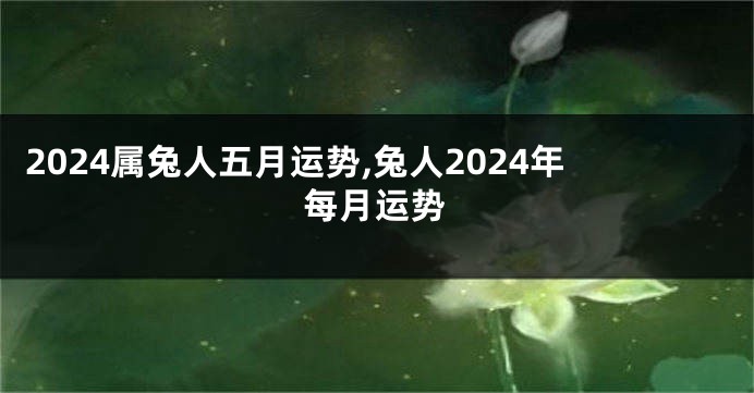 2024属兔人五月运势,兔人2024年每月运势