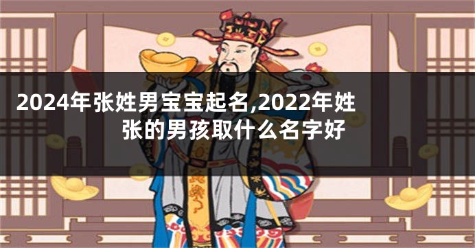 2024年张姓男宝宝起名,2022年姓张的男孩取什么名字好