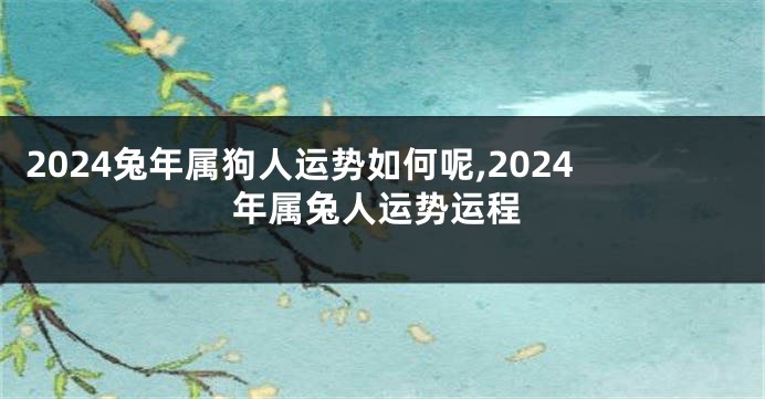 2024兔年属狗人运势如何呢,2024年属兔人运势运程