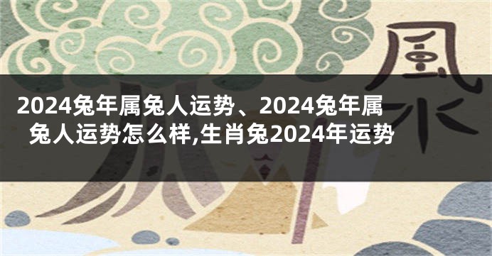 2024兔年属兔人运势、2024兔年属兔人运势怎么样,生肖兔2024年运势