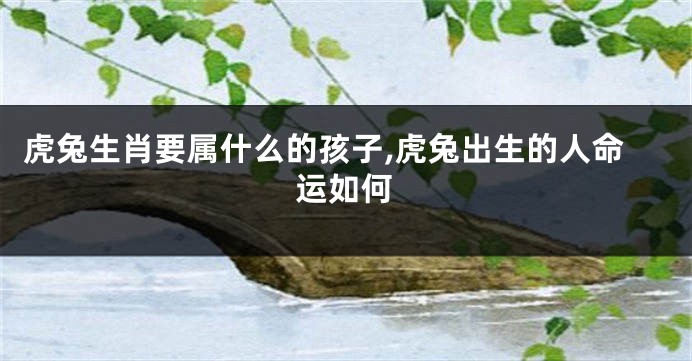 虎兔生肖要属什么的孩子,虎兔出生的人命运如何