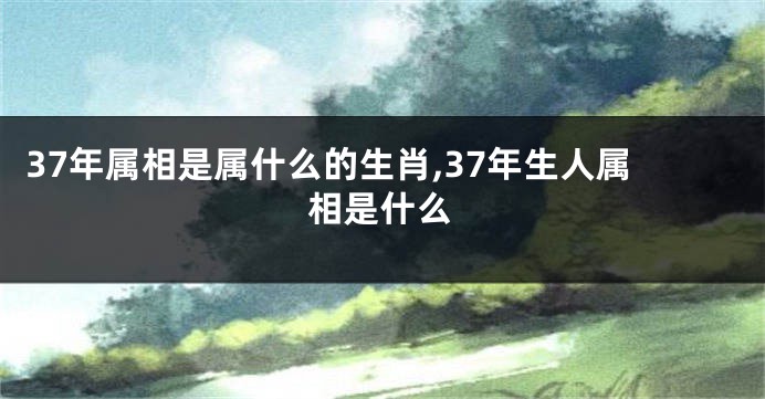 37年属相是属什么的生肖,37年生人属相是什么