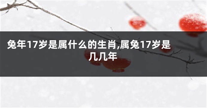 兔年17岁是属什么的生肖,属兔17岁是几几年