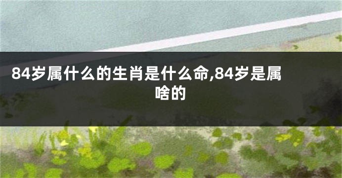 84岁属什么的生肖是什么命,84岁是属啥的