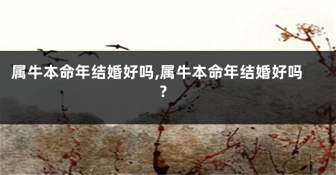 属牛本命年结婚好吗,属牛本命年结婚好吗?