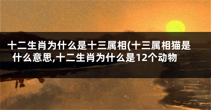 十二生肖为什么是十三属相(十三属相猫是什么意思,十二生肖为什么是12个动物