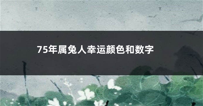 75年属兔人幸运颜色和数字