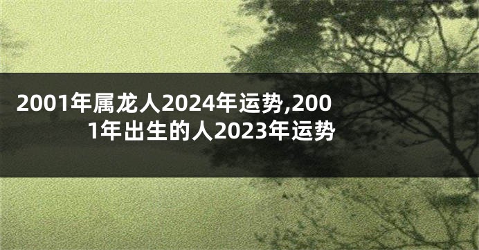 2001年属龙人2024年运势,2001年出生的人2023年运势