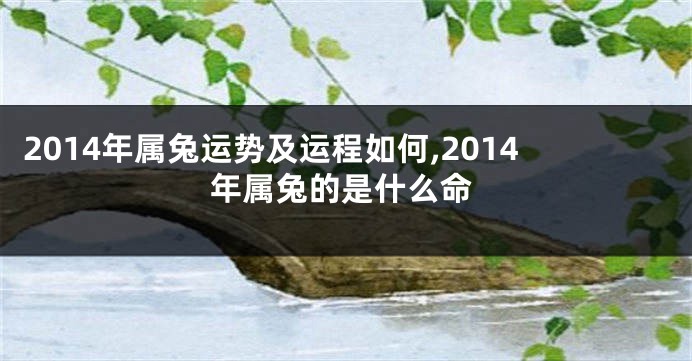 2014年属兔运势及运程如何,2014年属兔的是什么命