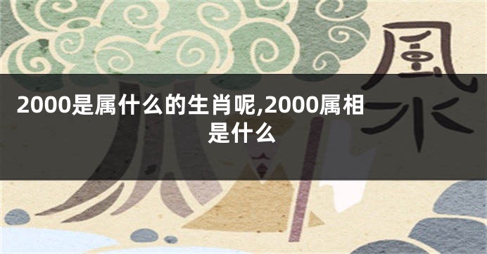 2000是属什么的生肖呢,2000属相是什么