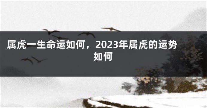 属虎一生命运如何，2023年属虎的运势如何