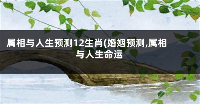 属相与人生预测12生肖(婚姻预测,属相与人生命运