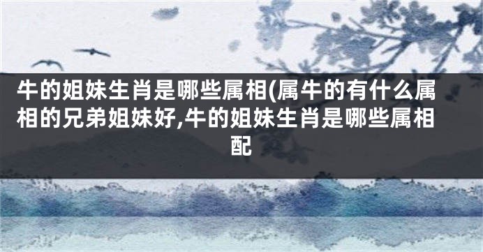 牛的姐妹生肖是哪些属相(属牛的有什么属相的兄弟姐妹好,牛的姐妹生肖是哪些属相配