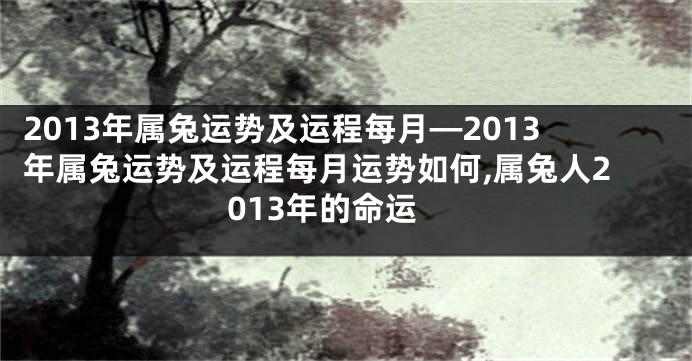 2013年属兔运势及运程每月—2013年属兔运势及运程每月运势如何,属兔人2013年的命运