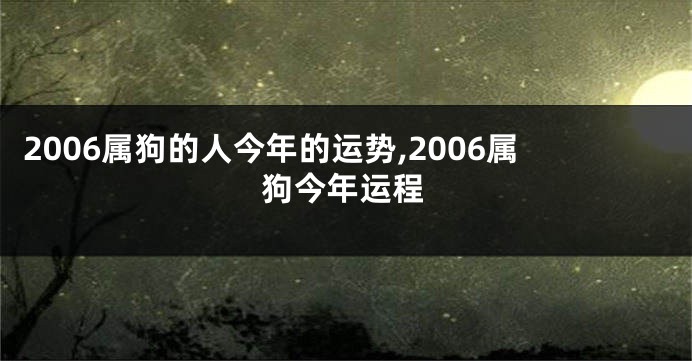 2006属狗的人今年的运势,2006属狗今年运程