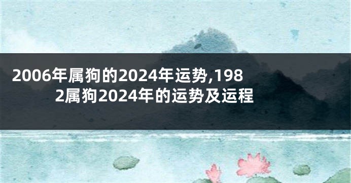 2006年属狗的2024年运势,1982属狗2024年的运势及运程