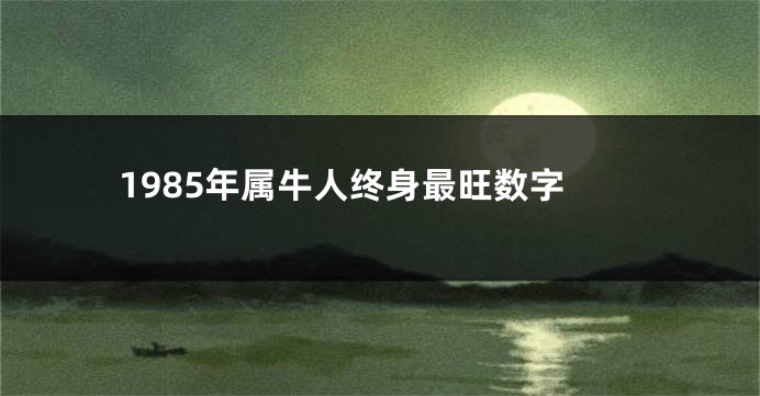 1985年属牛人终身最旺数字