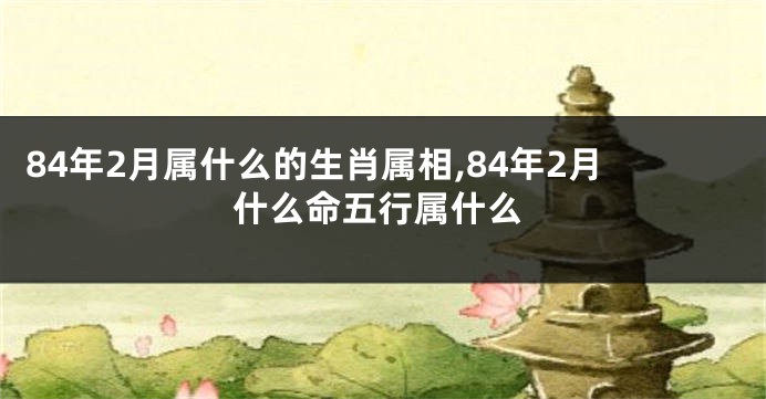 84年2月属什么的生肖属相,84年2月什么命五行属什么