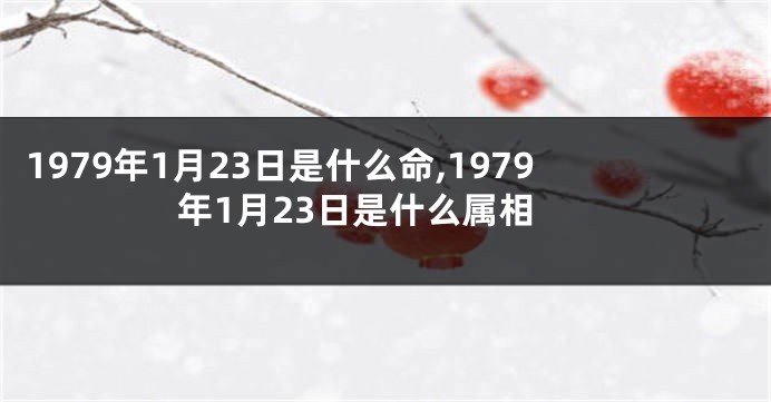 1979年1月23日是什么命,1979年1月23日是什么属相