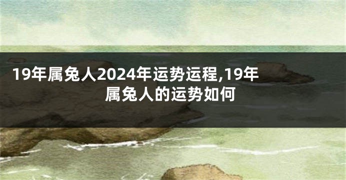 19年属兔人2024年运势运程,19年属兔人的运势如何