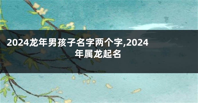 2024龙年男孩子名字两个字,2024年属龙起名