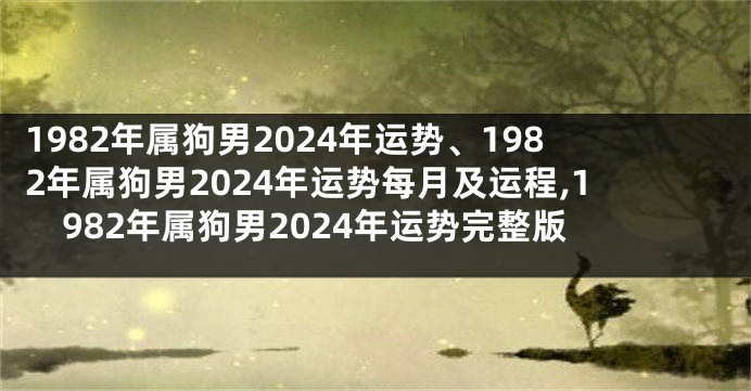 1982年属狗男2024年运势、1982年属狗男2024年运势每月及运程,1982年属狗男2024年运势完整版