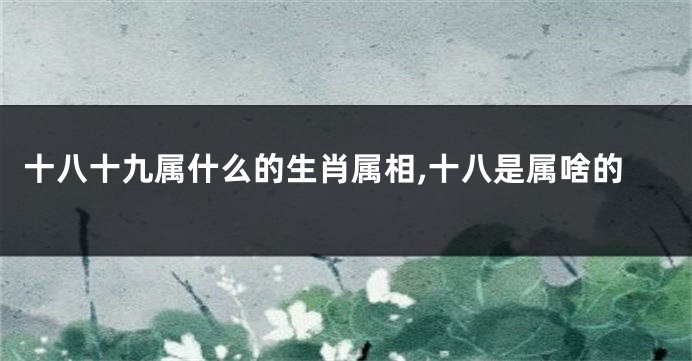 十八十九属什么的生肖属相,十八是属啥的