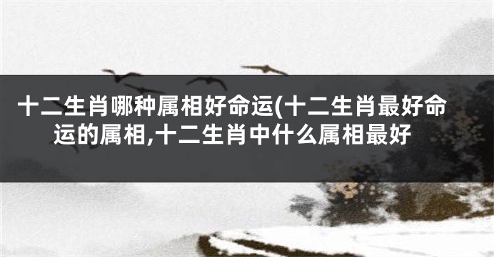 十二生肖哪种属相好命运(十二生肖最好命运的属相,十二生肖中什么属相最好