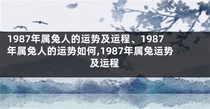 1987年属兔人的运势及运程、1987年属兔人的运势如何,1987年属兔运势及运程