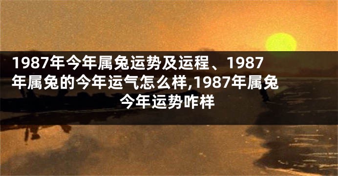 1987年今年属兔运势及运程、1987年属兔的今年运气怎么样,1987年属兔今年运势咋样