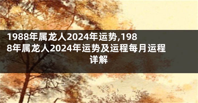 1988年属龙人2024年运势,1988年属龙人2024年运势及运程每月运程详解