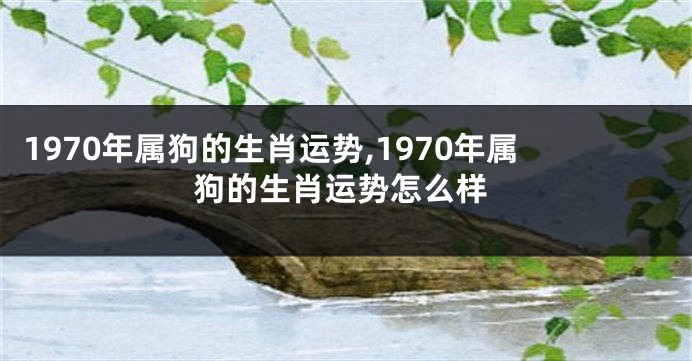 1970年属狗的生肖运势,1970年属狗的生肖运势怎么样