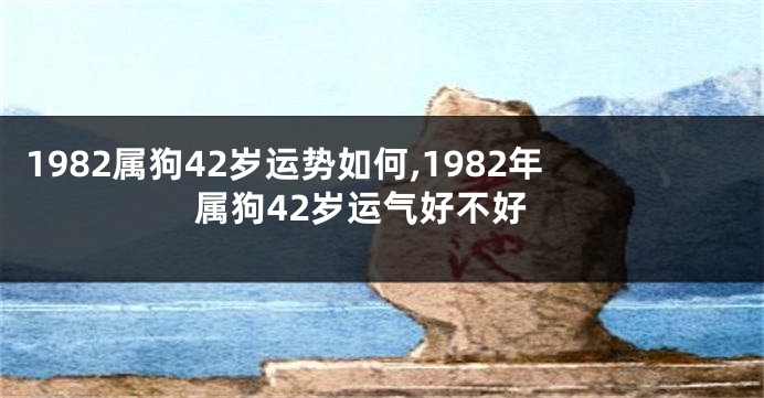 1982属狗42岁运势如何,1982年属狗42岁运气好不好