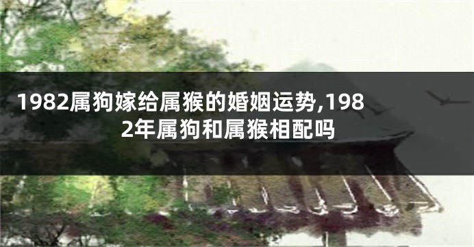 1982属狗嫁给属猴的婚姻运势,1982年属狗和属猴相配吗