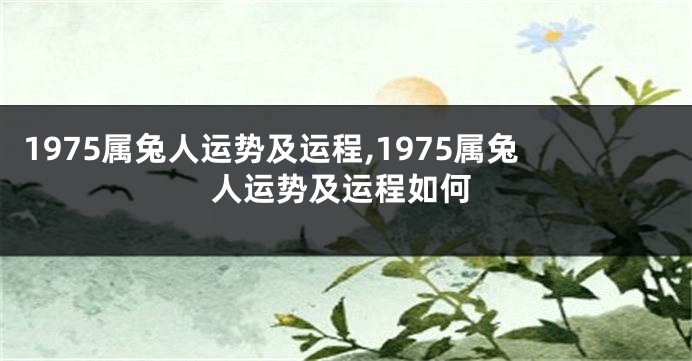 1975属兔人运势及运程,1975属兔人运势及运程如何