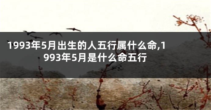 1993年5月出生的人五行属什么命,1993年5月是什么命五行