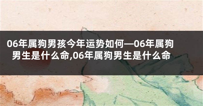 06年属狗男孩今年运势如何—06年属狗男生是什么命,06年属狗男生是什么命