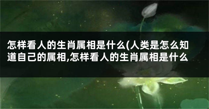 怎样看人的生肖属相是什么(人类是怎么知道自己的属相,怎样看人的生肖属相是什么