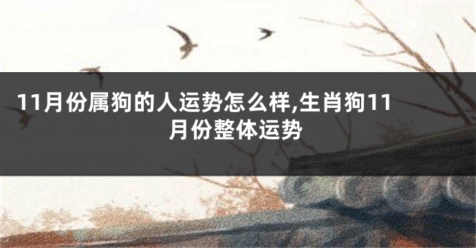 11月份属狗的人运势怎么样,生肖狗11月份整体运势